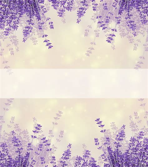 floral lavender|lavender floral background images.